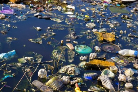 Poluição em água de lago. Foto: overcrew / Shutterstock.com