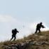 Quatro combatentes mortos na fronteira síria pelo exército israelense