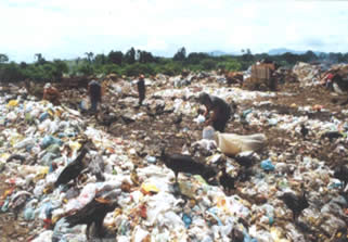 A deposição de lixo no meio ambiente